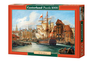 Dėlionė Castorland Puzzle The Old Gdansk, 1000 d. kaina ir informacija | Dėlionės (puzzle) | pigu.lt