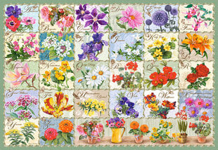 Dėlionė Puzzle Castorland Vintage Floral, 1000 det. kaina ir informacija | Dėlionės (puzzle) | pigu.lt