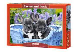 Dėlionė Castorland Puzzle French Bulldog Puppies, 1000 d. цена и информация | Пазлы | pigu.lt