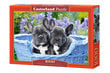 Dėlionė Castorland Puzzle French Bulldog Puppies, 1000 d. kaina ir informacija | Dėlionės (puzzle) | pigu.lt