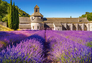 Dėlionė Castorland Puzzle Lavender Field in Provence, France, 1000 d. kaina ir informacija | Dėlionės (puzzle) | pigu.lt