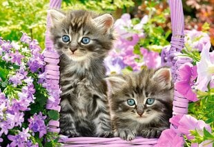 Dėlionė Puzzle Castorland Kitten in Summer Garden, 1000 det. цена и информация | Пазлы | pigu.lt