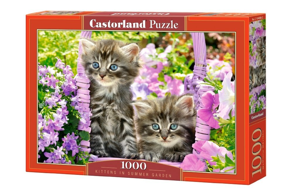 Dėlionė Puzzle Castorland Kitten in Summer Garden, 1000 det. kaina ir informacija | Dėlionės (puzzle) | pigu.lt