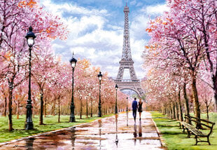 Пазл 1000 романтическая прогулка в Париже 104369 цена и информация | Пазлы | pigu.lt