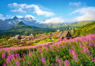 Dėlionė Castorland Puzzle Hala Gąsienicowa, Tatras, Poland, 1000 d. kaina ir informacija | Dėlionės (puzzle) | pigu.lt