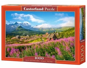 Dėlionė Castorland Puzzle Hala Gąsienicowa, Tatras, Poland, 1000 d. kaina ir informacija | Dėlionės (puzzle) | pigu.lt