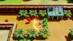 Legend of Zelda Link's Awakening NSW цена и информация | Компьютерные игры | pigu.lt