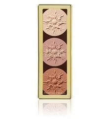 Veido kontūravimo paletė Physicians Formula Bronze Booster, Matte Finish, 9 g цена и информация | Пудры, базы под макияж | pigu.lt