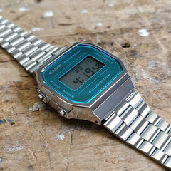 Женские часы Casio Collection A168WEM-2 цена и информация | Женские часы | pigu.lt