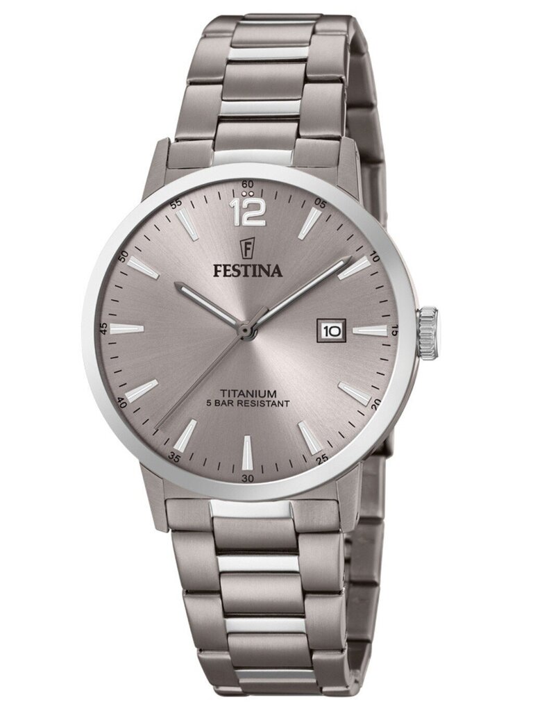 Laikrodis vyrams Festina Titanium 20435/2 kaina ir informacija | Vyriški laikrodžiai | pigu.lt