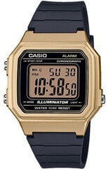 Casio Collection мужские часы цена и информация | Мужские часы | pigu.lt