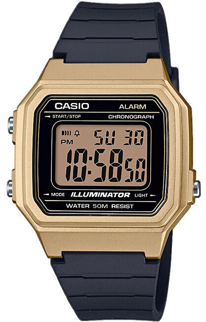 Vyriškas laikrodis Casio W-217HM-9AVEF kaina ir informacija | Vyriški laikrodžiai | pigu.lt