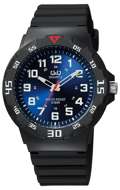 Laikrodis Q&Q VR18J005Y kaina ir informacija | Vyriški laikrodžiai | pigu.lt