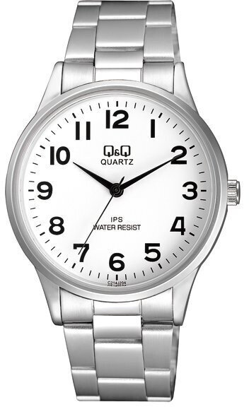 Laikrodis vyrams Q&Q C214J204 цена и информация | Vyriški laikrodžiai | pigu.lt