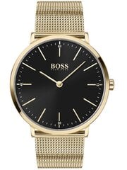 Boss Black Horizon мужские часы цена и информация | Мужские часы | pigu.lt