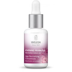 Сыворотка для лица для зрелой кожи Weleda Evening Primrose, 30 мл цена и информация | Сыворотки для лица, масла | pigu.lt