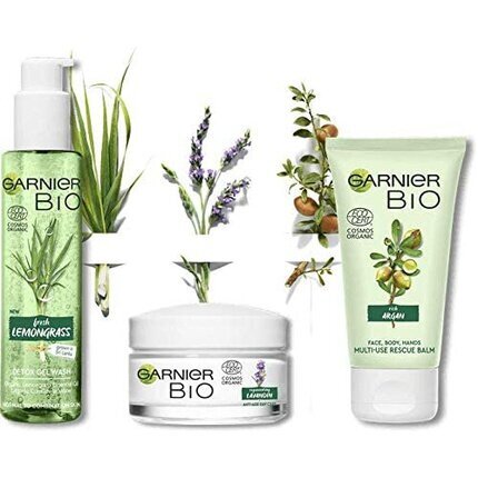 Stangrinamasis veido kremas Garnier Anti-Wrinkle Day Care, 50ml kaina ir informacija | Veido kremai | pigu.lt