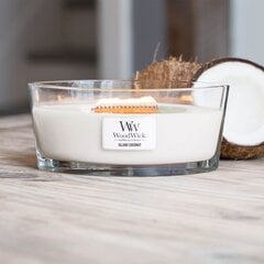 Ароматическая свеча WoodWick Island Coconut, 453.6 г цена и информация | Подсвечники, свечи | pigu.lt