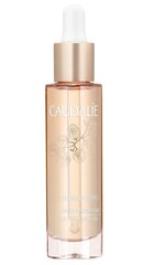 Универсальное сухое масло для лица Caudalie Premier Cru The Precious Oil 29 мл цена и информация | Кремы для лица | pigu.lt