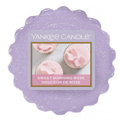 Yankee Candle kvapusis vaškas Sweet Morning Rose, 22 g kaina ir informacija | Žvakės, Žvakidės | pigu.lt