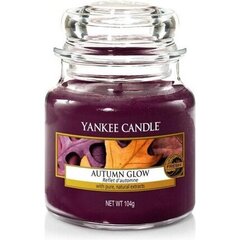 Kvapioji žvakė Yankee Candle Autumn Glow 411 g kaina ir informacija | Žvakės, Žvakidės | pigu.lt