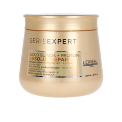 Regeneruojamoji plaukų kaukė L'Oreal Professionnel Serie Expert Absolut Repair Gold Quinoa + Protein 250 ml kaina ir informacija | Priemonės plaukų stiprinimui | pigu.lt