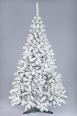 Kalėdinė eglutė Snieguolė 1.2 m kaina ir informacija | Eglutės, vainikai, stovai | pigu.lt