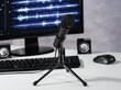 Mikrofonas Hama MIC-P35 ALLROUND цена и информация | Mikrofonai | pigu.lt