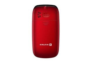 Evelatus Wave 2020 Dual SIM Maroon Red цена и информация | Мобильные телефоны | pigu.lt