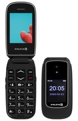 Evelatus Wave 2020 Dual SIM Graphite Black цена и информация | Мобильные телефоны | pigu.lt