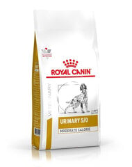 Royal Canin у собак с проблемами мочевыводящих путей Urinary Moderate Calorie, 1,5 kg цена и информация |  Сухой корм для собак | pigu.lt