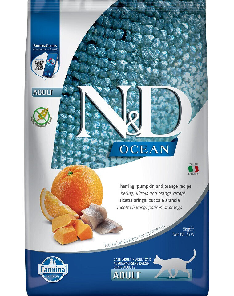 Farmina N&D Ocean sausas maistas katėms silke, moliūgais ir apelsinais, 5 kg цена и информация | Sausas maistas katėms | pigu.lt