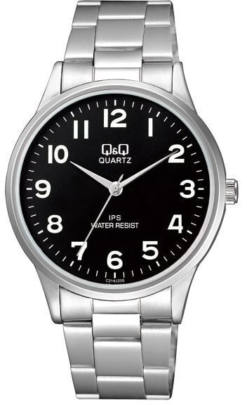 Laikrodis vyrams Q&Q C214J205 kaina ir informacija | Vyriški laikrodžiai | pigu.lt