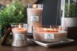 WoodWick kvapioji žvakė Vanilla & Sea Salt, 85 g kaina ir informacija | Žvakės, Žvakidės | pigu.lt