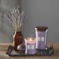 WoodWick kvapioji žvakė Lavender Spa, 275 g kaina ir informacija | Žvakės, Žvakidės | pigu.lt