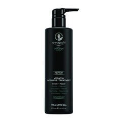 Paul Mitchell Intensive Hair Care Awapuhi (Wild Ginger Keratin Intensive Treatment) 500ml цена и информация | Средства для укрепления волос | pigu.lt