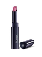 Lūpų dažai Dr. Hauschka Sheer Lipstick 02 Rosanna, 2 g kaina ir informacija | Lūpų dažai, blizgiai, balzamai, vazelinai | pigu.lt