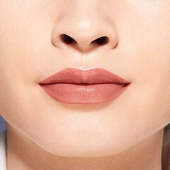 Lūpų dažai Shiseido VisionAiry Gel 1.6 g, 202 Bullet Train kaina ir informacija | Lūpų dažai, blizgiai, balzamai, vazelinai | pigu.lt
