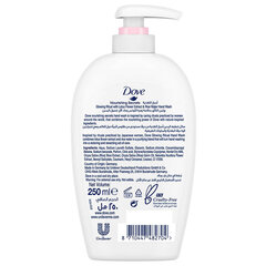 Жидкое мыло для рук дополнение Dove Nourishing Secrets Glowing Ritual, 250 мл цена и информация | Мыло | pigu.lt