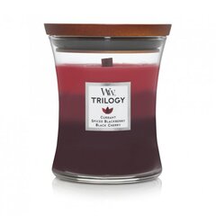 WoodWick ароматическая свеча Trilogy Sun-Ripened Berries, 275 г цена и информация | Подсвечники, свечи | pigu.lt