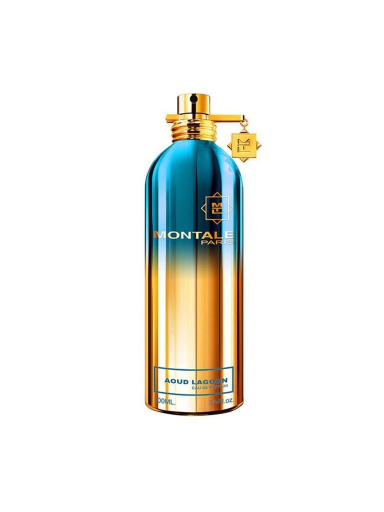 Kvapusis vanduo Montale Paris Aoud Lagoon EDP moterims/vyrams 100 ml kaina ir informacija | Kvepalai moterims | pigu.lt