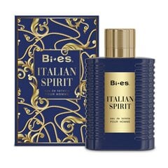 Tualetinis vanduo vyrams BI-ES Italian spirit 100ml kaina ir informacija | Kvepalai vyrams | pigu.lt