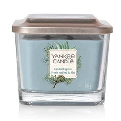 Kvapioji žvakė Yankee Candle Coastal Cypress 347 g kaina ir informacija | Žvakės, Žvakidės | pigu.lt