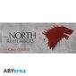 ABYstyle Game of Thrones The North Remembers kaina ir informacija | Žaidėjų atributika | pigu.lt