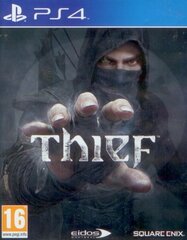 PS4 Thief цена и информация | Компьютерные игры | pigu.lt