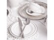 Ambition desertinė lėkštė Aura Silver, 19 cm цена и информация | Indai, lėkštės, pietų servizai | pigu.lt