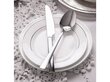 Ambition desertinė lėkštė Aura Silver, 19 cm kaina ir informacija | Indai, lėkštės, pietų servizai | pigu.lt