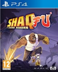 PS4 Shaq Fu: A Legend Reborn kaina ir informacija | Wired Production Kompiuterinė technika | pigu.lt