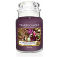 Kvapioji žvakė Yankee Candle Moonlit Blossoms 623 g