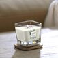 Kvapioji žvakė Yankee Candle Exotic Bergamot 96 g kaina ir informacija | Žvakės, Žvakidės | pigu.lt